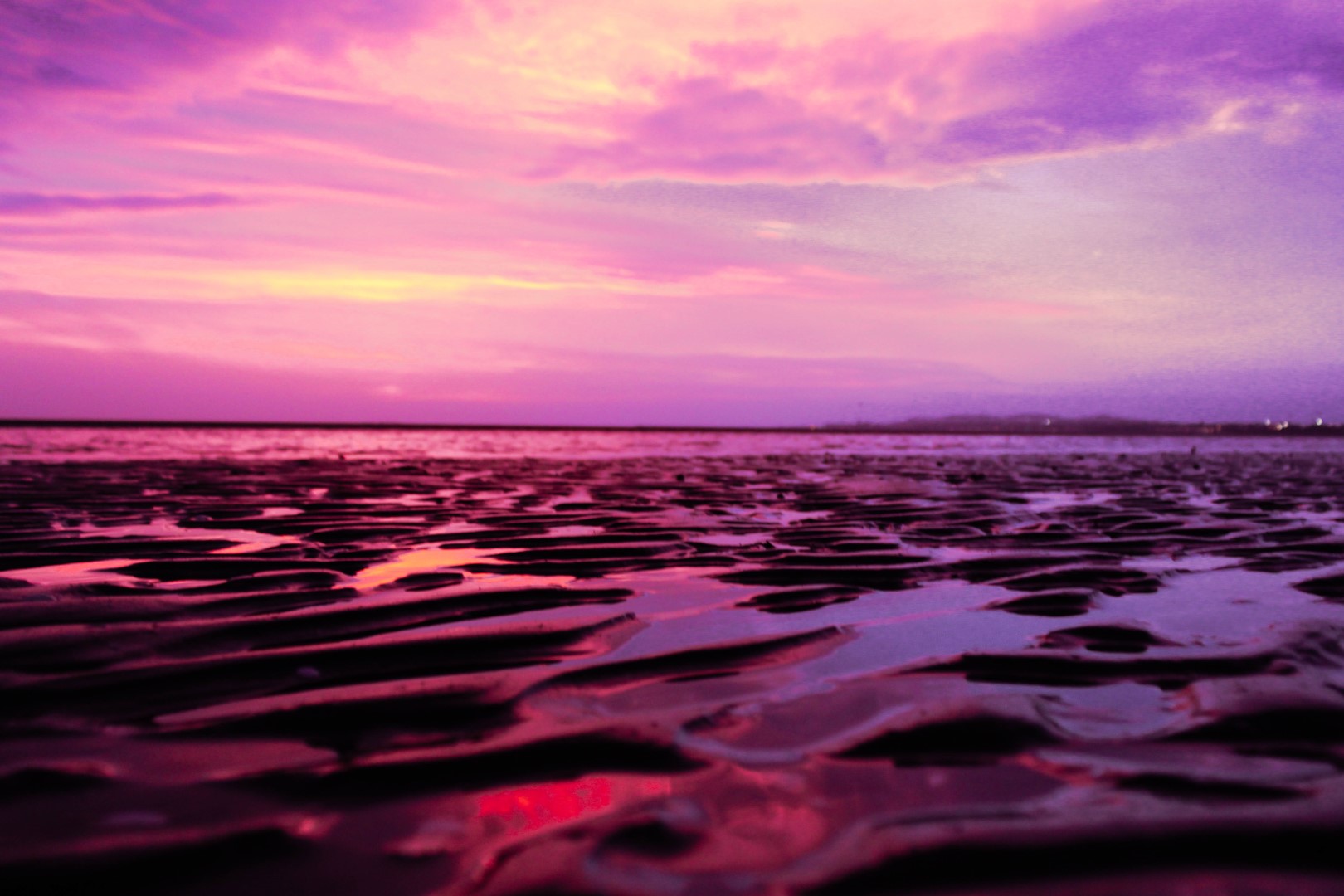 Pink sunrise at a beach